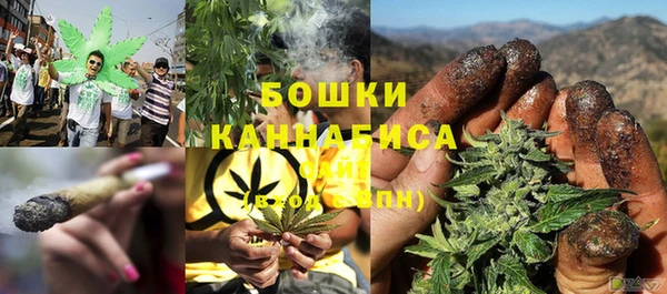 PSILOCYBIN Бронницы