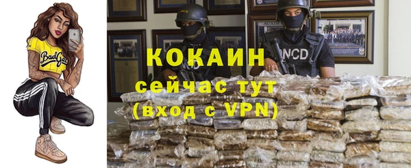PSILOCYBIN Бронницы