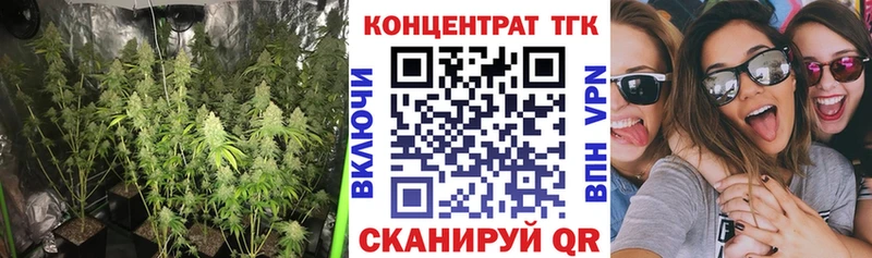 Купить где  Межгорье  Дистиллят ТГК гашишное масло 